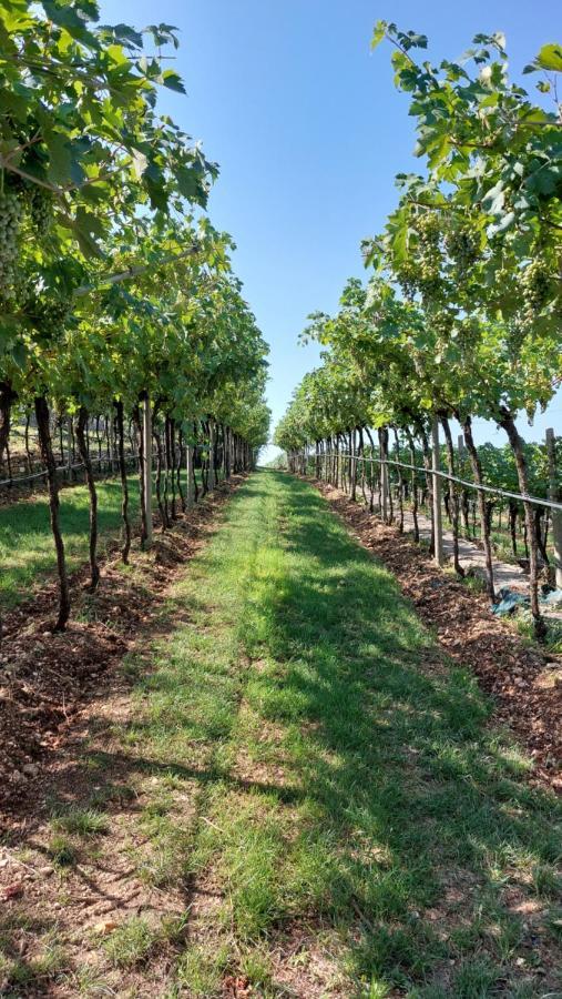 Azienda Agrituristica Corteforte Fumane Luaran gambar
