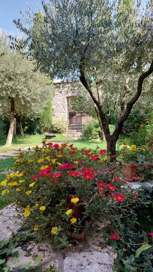 Azienda Agrituristica Corteforte Fumane Luaran gambar