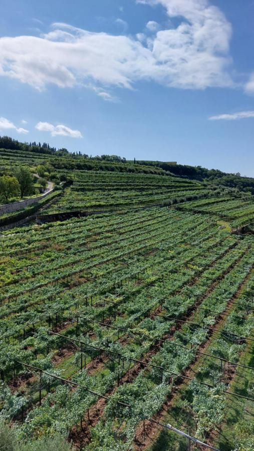 Azienda Agrituristica Corteforte Fumane Luaran gambar