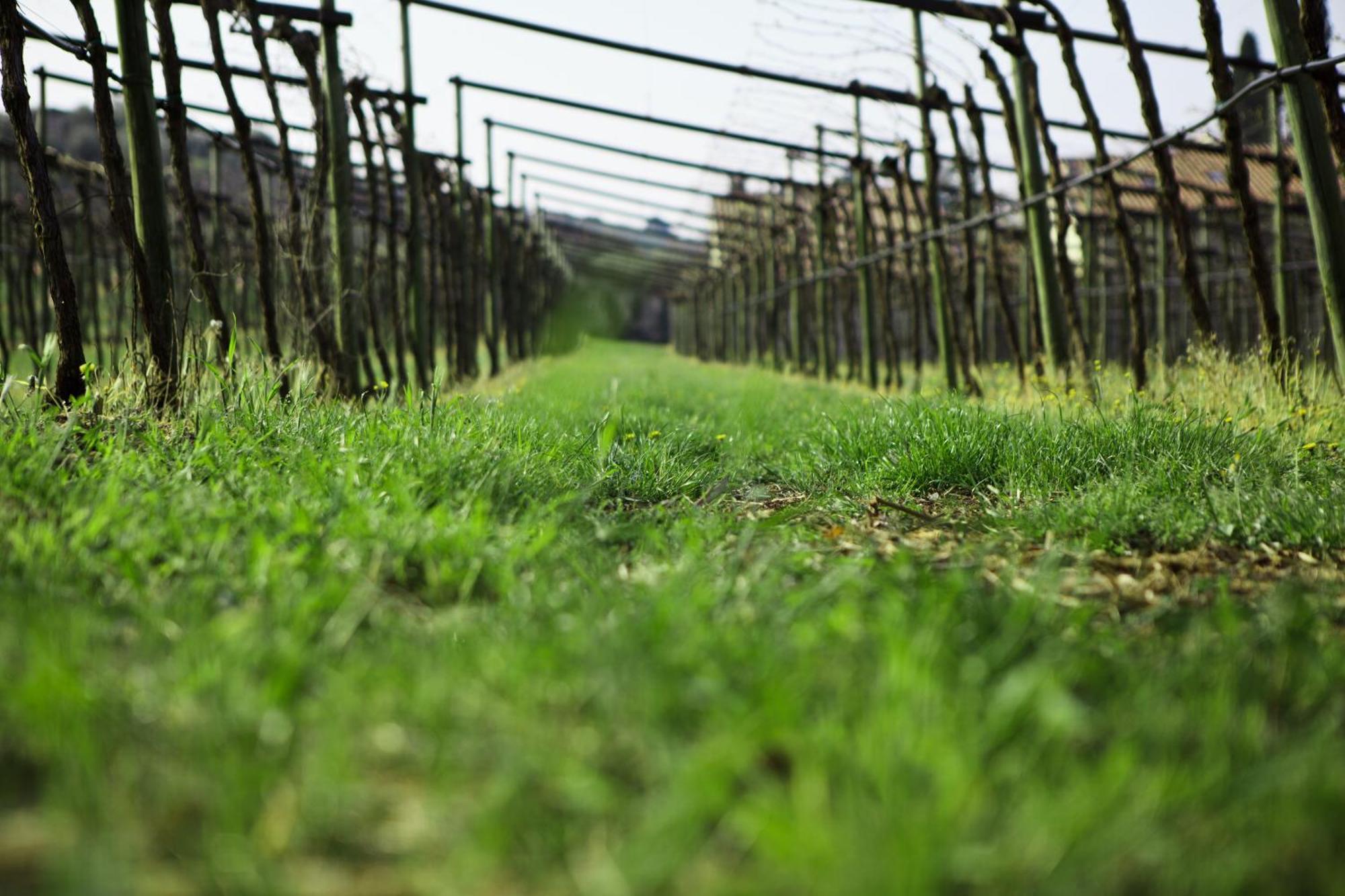 Azienda Agrituristica Corteforte Fumane Luaran gambar