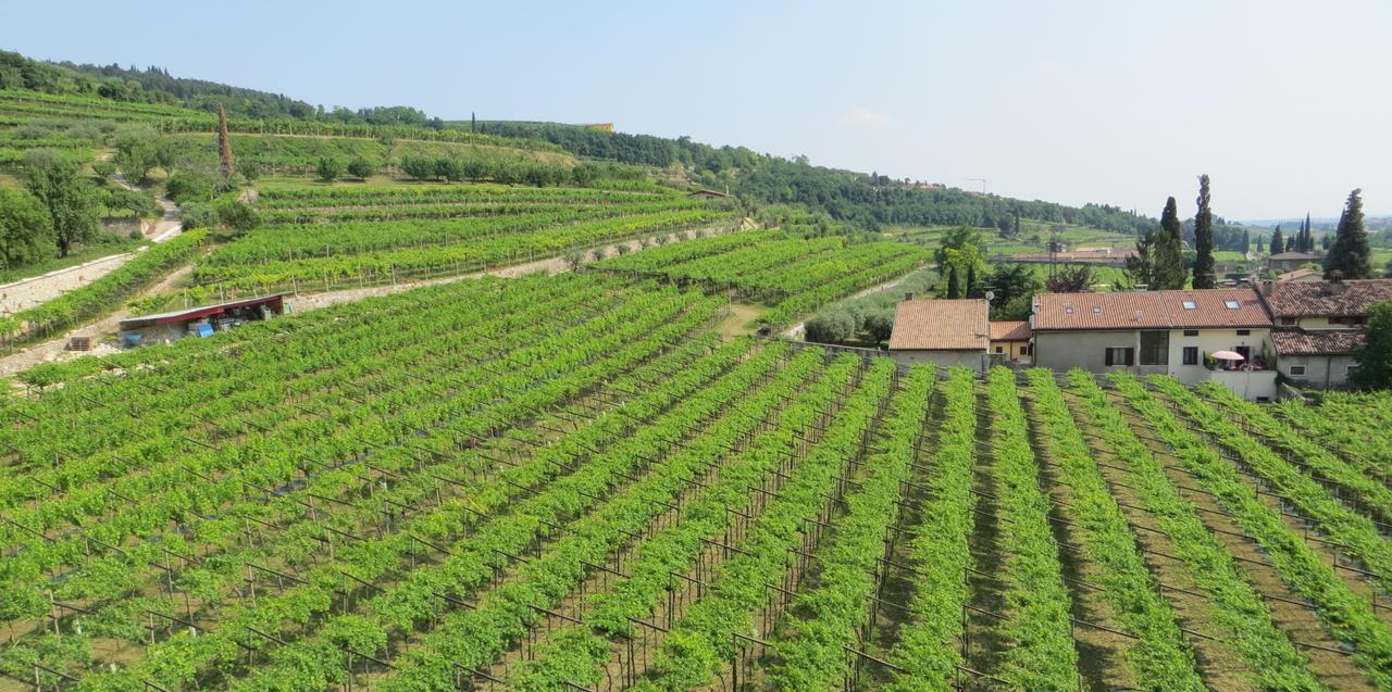 Azienda Agrituristica Corteforte Fumane Luaran gambar